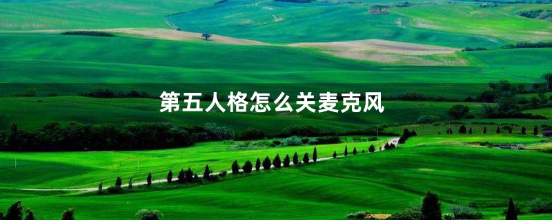 第五人格怎么关麦克风