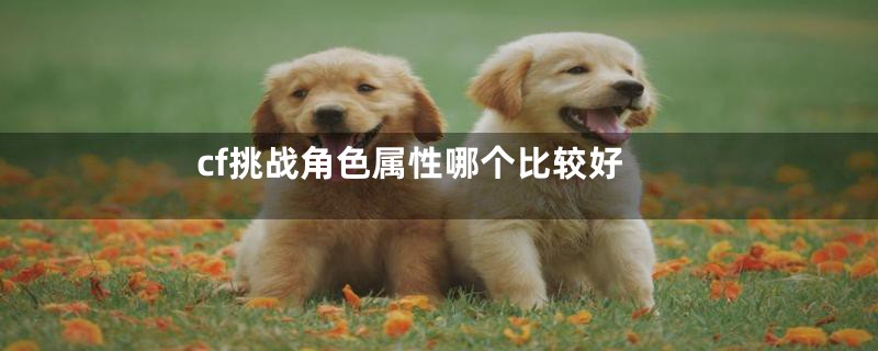 cf挑战角色属性哪个比较好