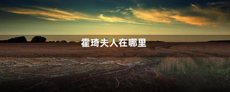 霍琦夫人在哪里