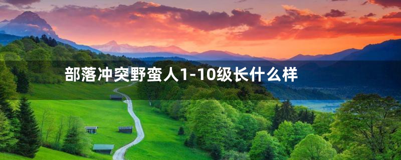 部落冲突野蛮人1-10级长什么样
