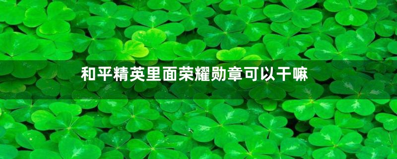 和平精英里面荣耀勋章可以干嘛
