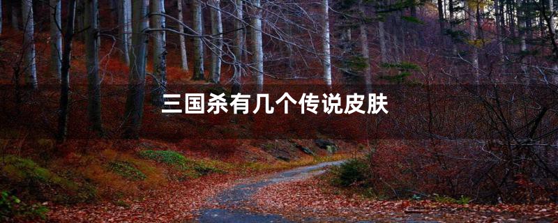 三国杀有几个传说皮肤