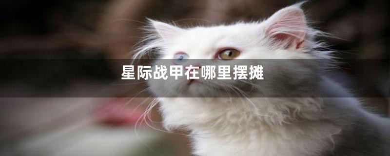 星际战甲在哪里摆摊