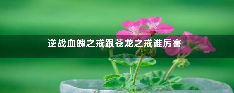 逆战血魄之戒跟苍龙之戒谁厉害