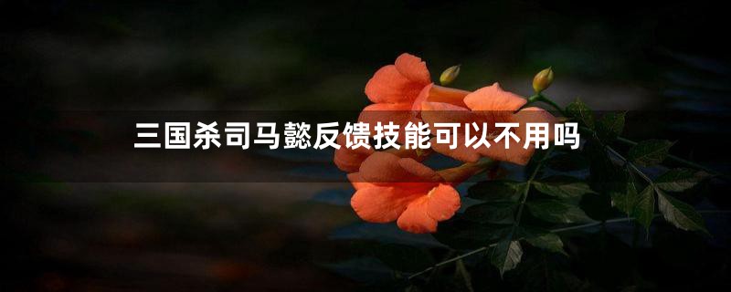 三国杀司马懿反馈技能可以不用吗