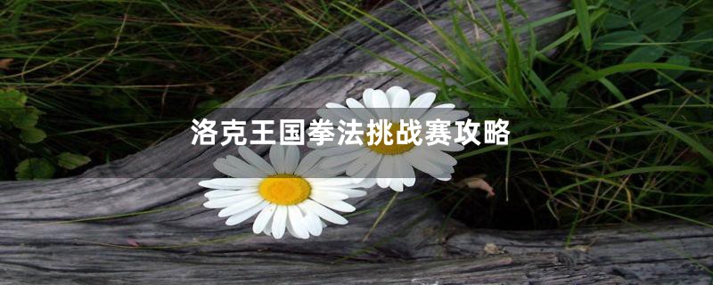 洛克王国拳法挑战赛攻略