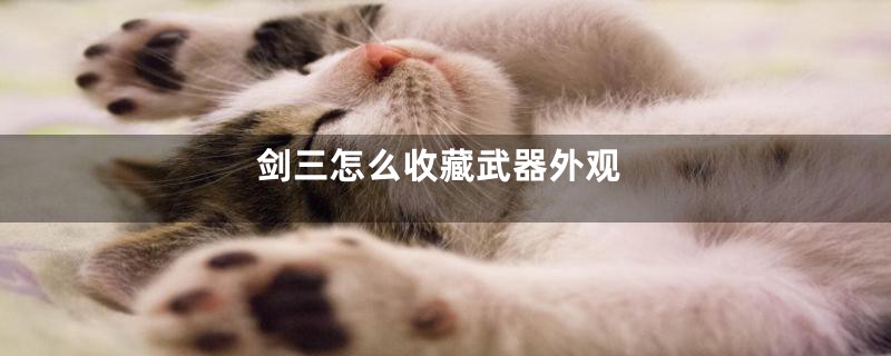 剑三怎么收藏武器外观