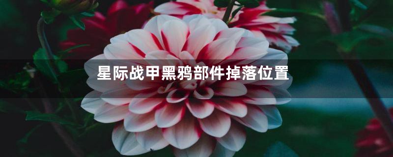 星际战甲黑鸦部件掉落位置