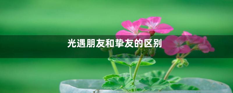光遇朋友和挚友的区别