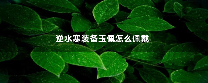 逆水寒装备玉佩怎么佩戴