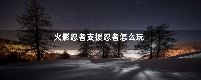 火影忍者支援忍者怎么玩