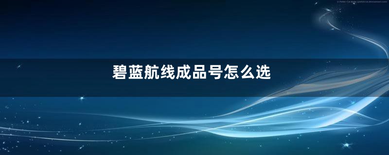 碧蓝航线成品号怎么选