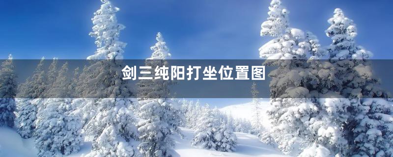 剑三纯阳打坐位置图