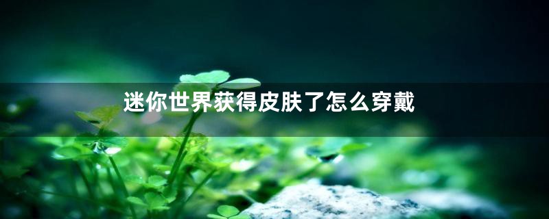 迷你世界获得皮肤了怎么穿戴