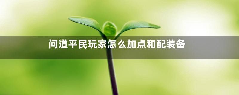 问道平民玩家怎么加点和配装备