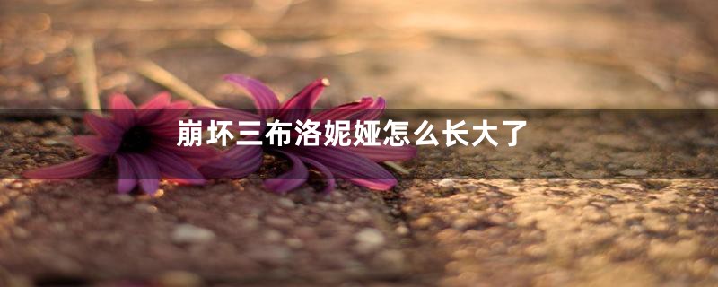 崩坏三布洛妮娅怎么长大了