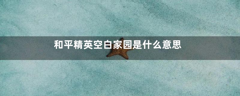 和平精英空白家园是什么意思