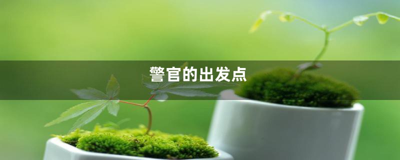 警官的出发点