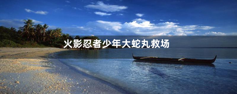 火影忍者少年大蛇丸救场