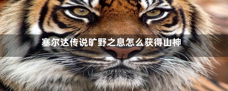 塞尔达传说旷野之息怎么获得山神