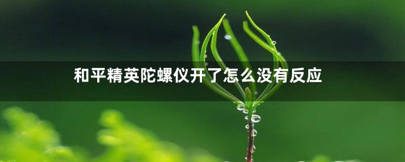 和平精英陀螺仪开了怎么没有反应