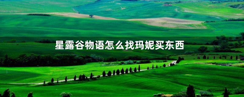 星露谷物语怎么找玛妮买东西