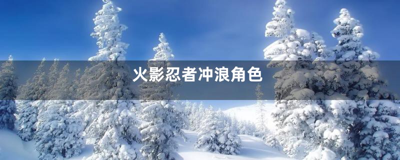 火影忍者冲浪角色