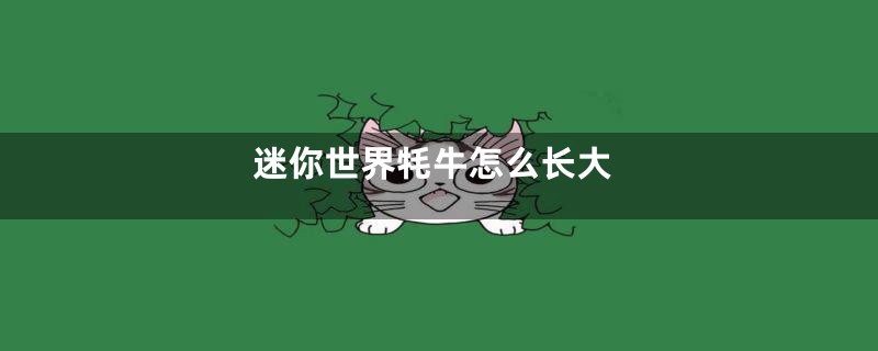 迷你世界牦牛怎么长大