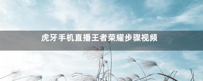 虎牙手机直播王者荣耀步骤视频