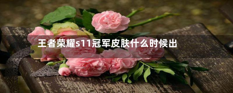 王者荣耀s11冠军皮肤什么时候出