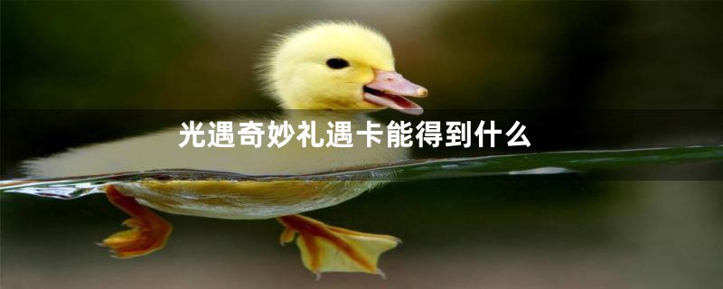 光遇奇妙礼遇卡能得到什么