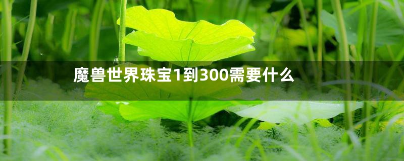 魔兽世界珠宝1到300需要什么