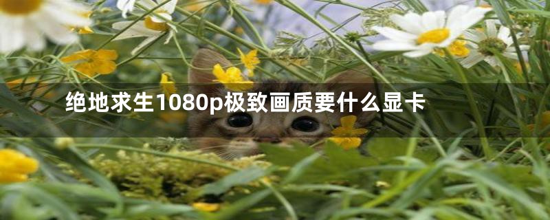绝地求生1080p极致画质要什么显卡