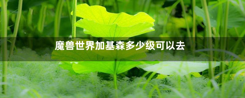 魔兽世界加基森多少级可以去