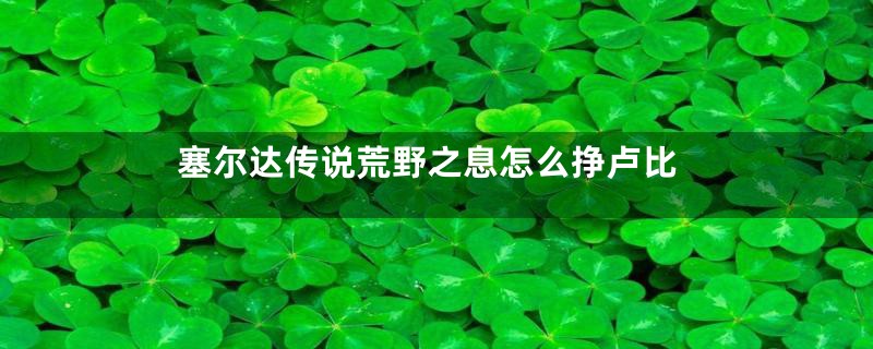 塞尔达传说荒野之息怎么挣卢比