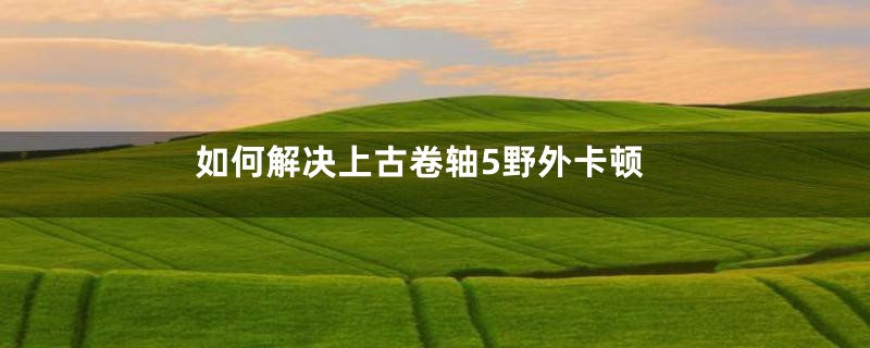 如何解决上古卷轴5野外卡顿