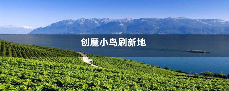 创魔小鸟刷新地