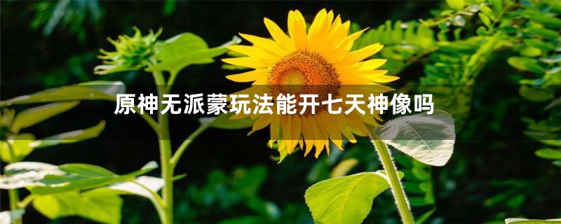 原神无派蒙玩法能开七天神像吗