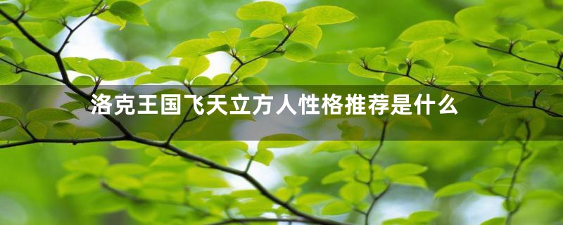 洛克王国飞天立方人性格推荐是什么