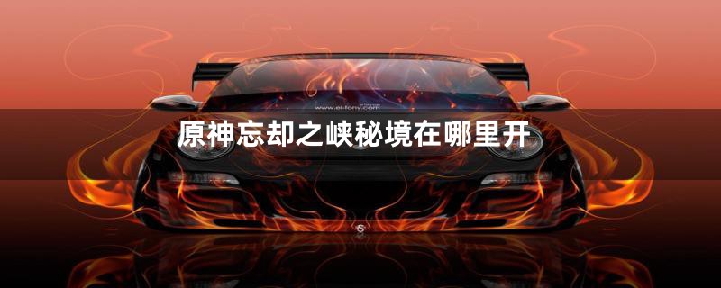 原神忘却之峡秘境在哪里开