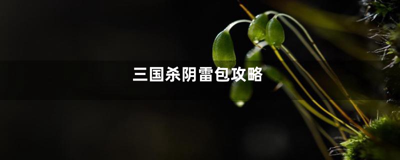 三国杀阴雷包攻略