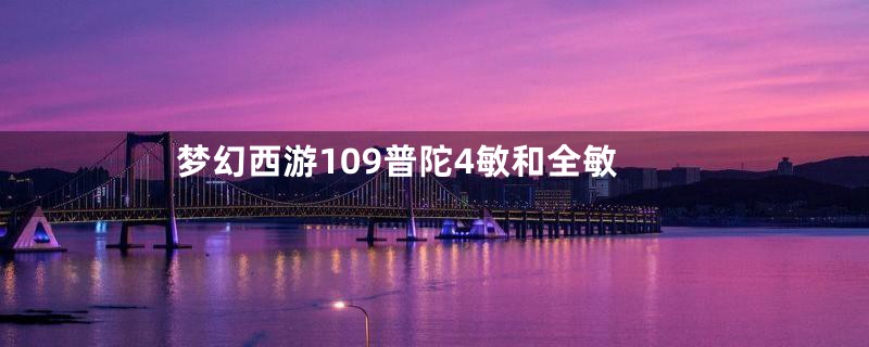 梦幻西游109普陀4敏和全敏