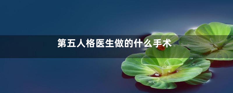第五人格医生做的什么手术