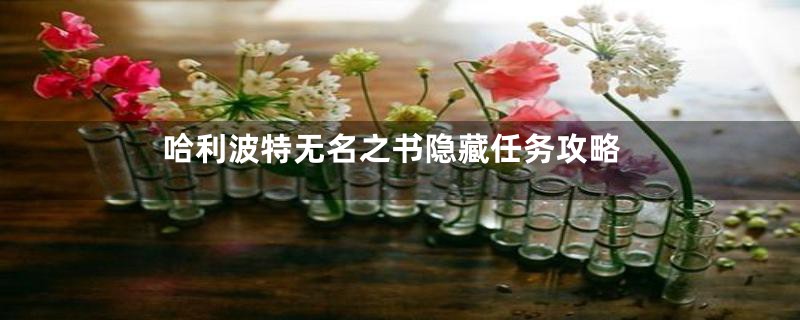 哈利波特无名之书隐藏任务攻略