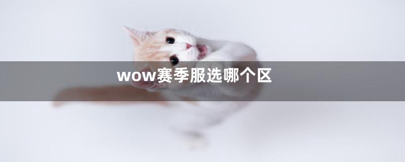 wow赛季服选哪个区