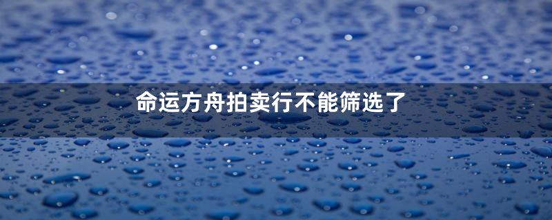 命运方舟拍卖行不能筛选了