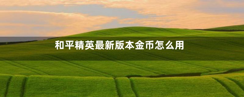 和平精英最新版本金币怎么用