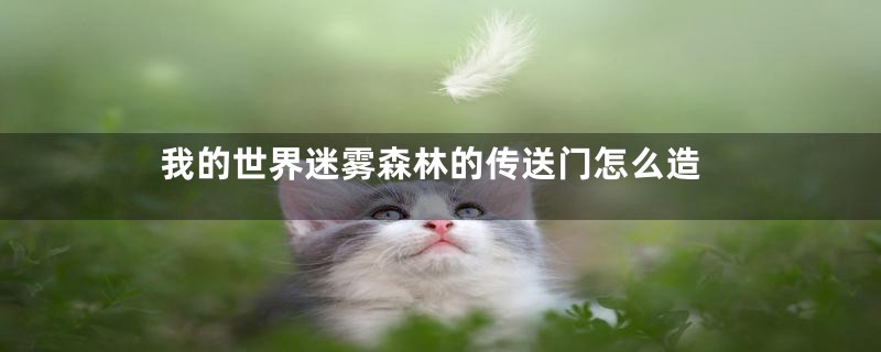 我的世界迷雾森林的传送门怎么造