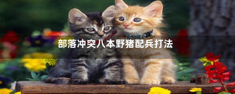 部落冲突八本野猪配兵打法