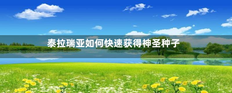 泰拉瑞亚如何快速获得神圣种子